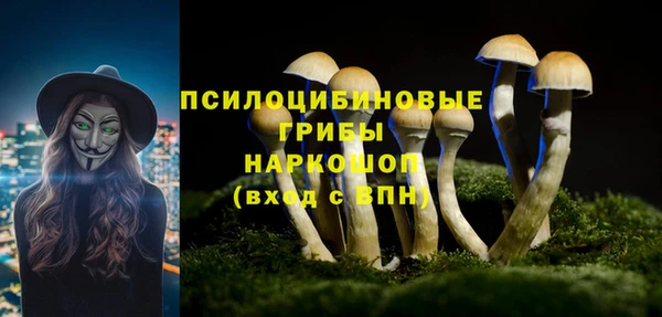 спиды Алексеевка