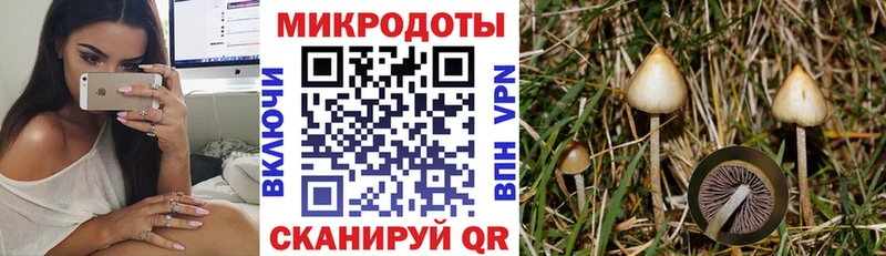где продают   Удомля  Галлюциногенные грибы прущие грибы 