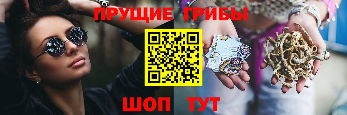 Галлюциногенные грибы Psilocybe Удомля
